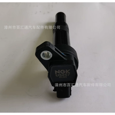 Supply NGK Alovlanma bobini (Babinalar)