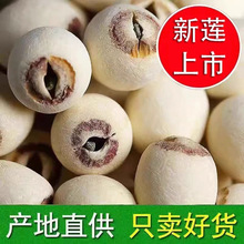 ��؛ɏ��ȥоĥƤ��ɏ�Ӹ�؛500g���r��ɏ��������ɏ�ӟo��ʳ��