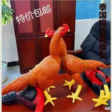 斗鸡用品 橡胶鸡 假斗鸡 斗鸡训练模型 鬼子鸡 假鸡