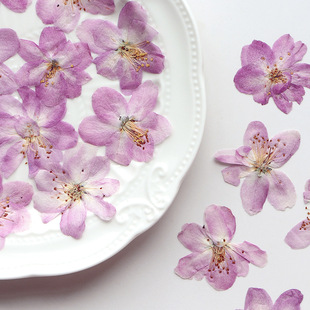 ���Ļ� �ɻ�����ֲ��˱��ֹ����z�Ʒ�֙C�����diy�����NĘѺ��