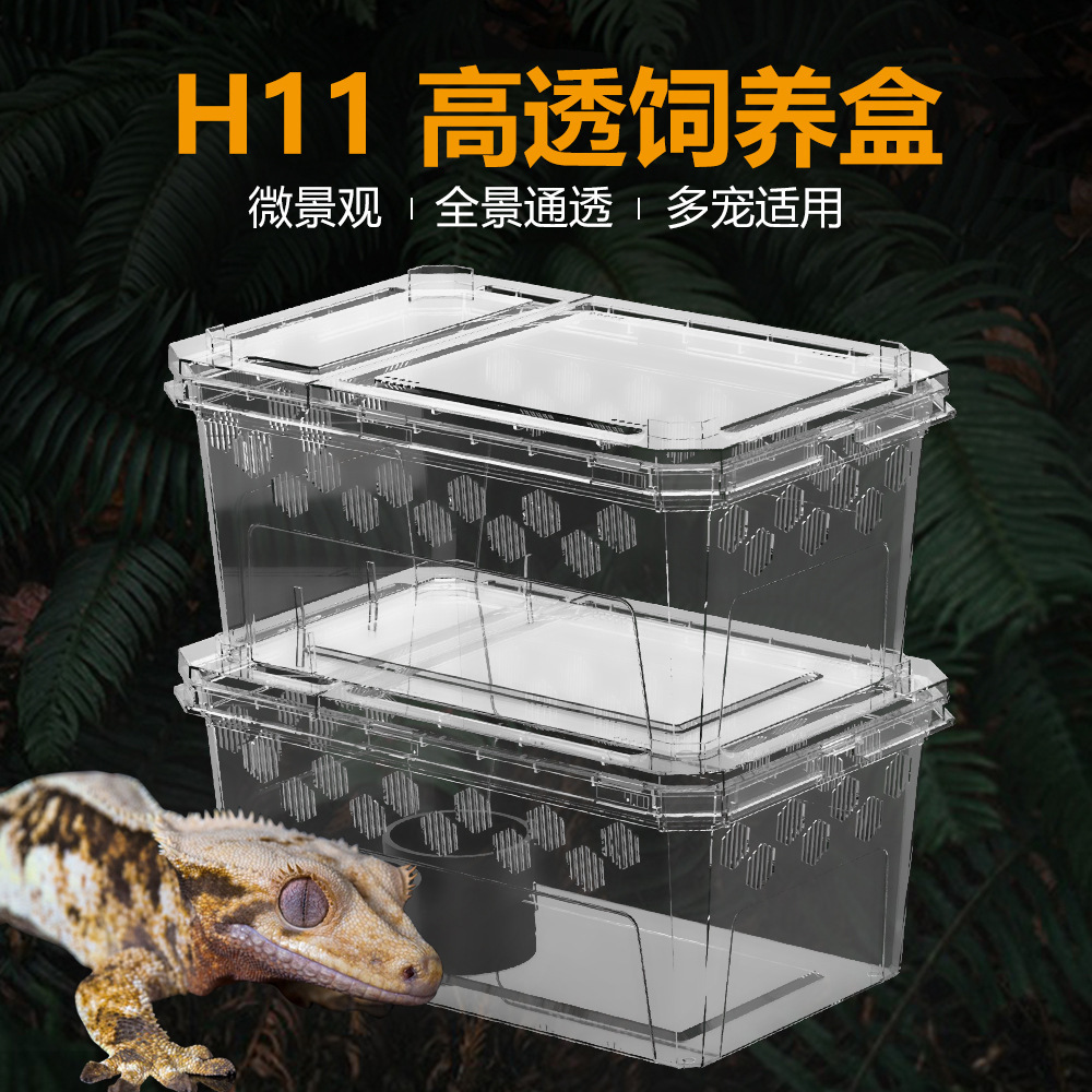 H11 애완 동물 파충류 먹이 상자 거미 Shougong 도마뱀 전갈 개구리 지네 플라스틱 거북이 부화 먹이 상자