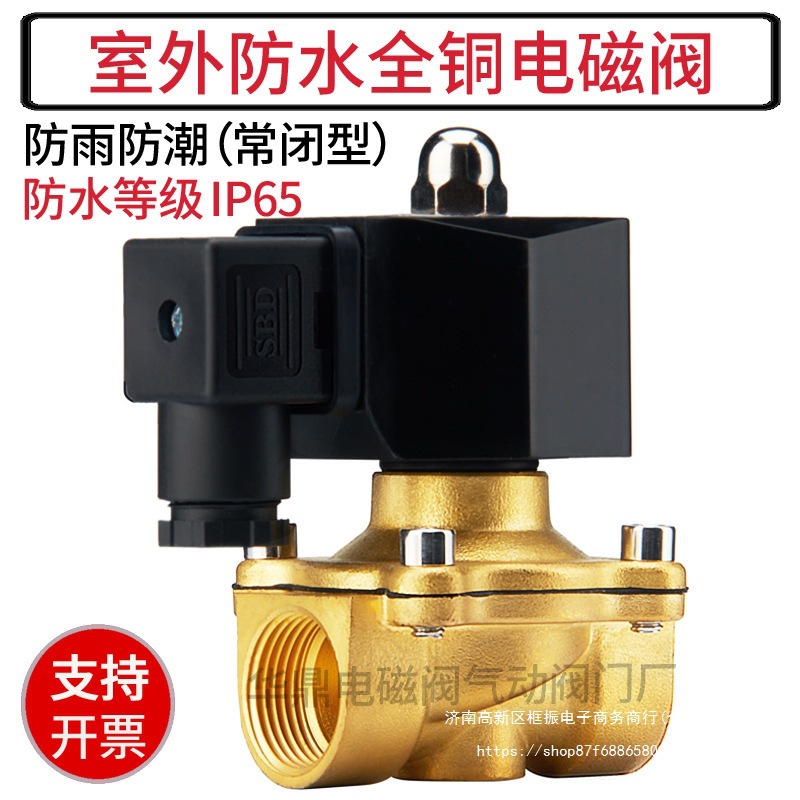室外电磁阀水阀AC220V常闭进放水管电磁控制阀开关24V 4分6分