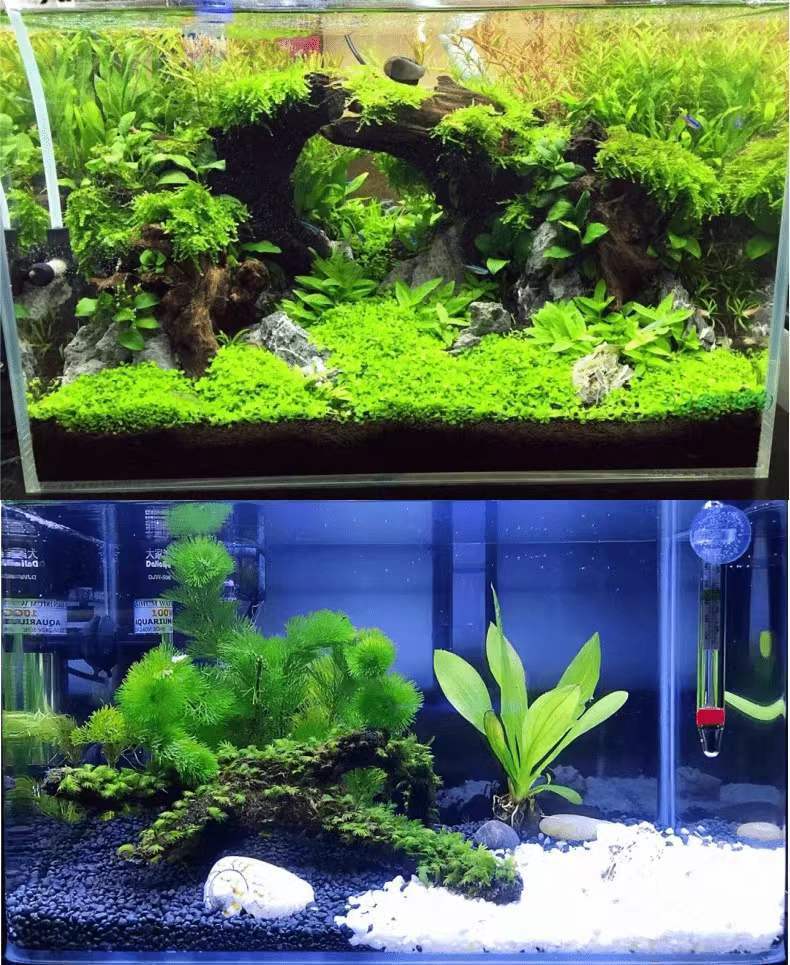 e659c2e8-b177-493c-ab0c-1579c858e7d3.jpe