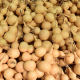 ✅Natural hand-twisted small gourd grass gold do old text play play stall medium large gourd crafts batch