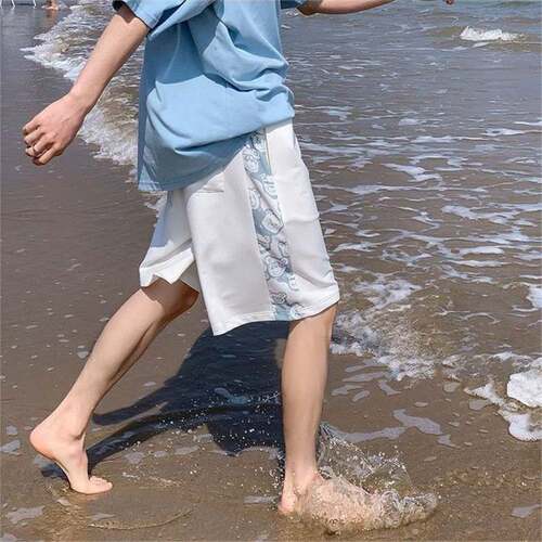 Men's Loose Fit Casual Streetwear 5-inch Short Sport Shorts Unisex Outdoor Straight Leg Summer Thin Pants