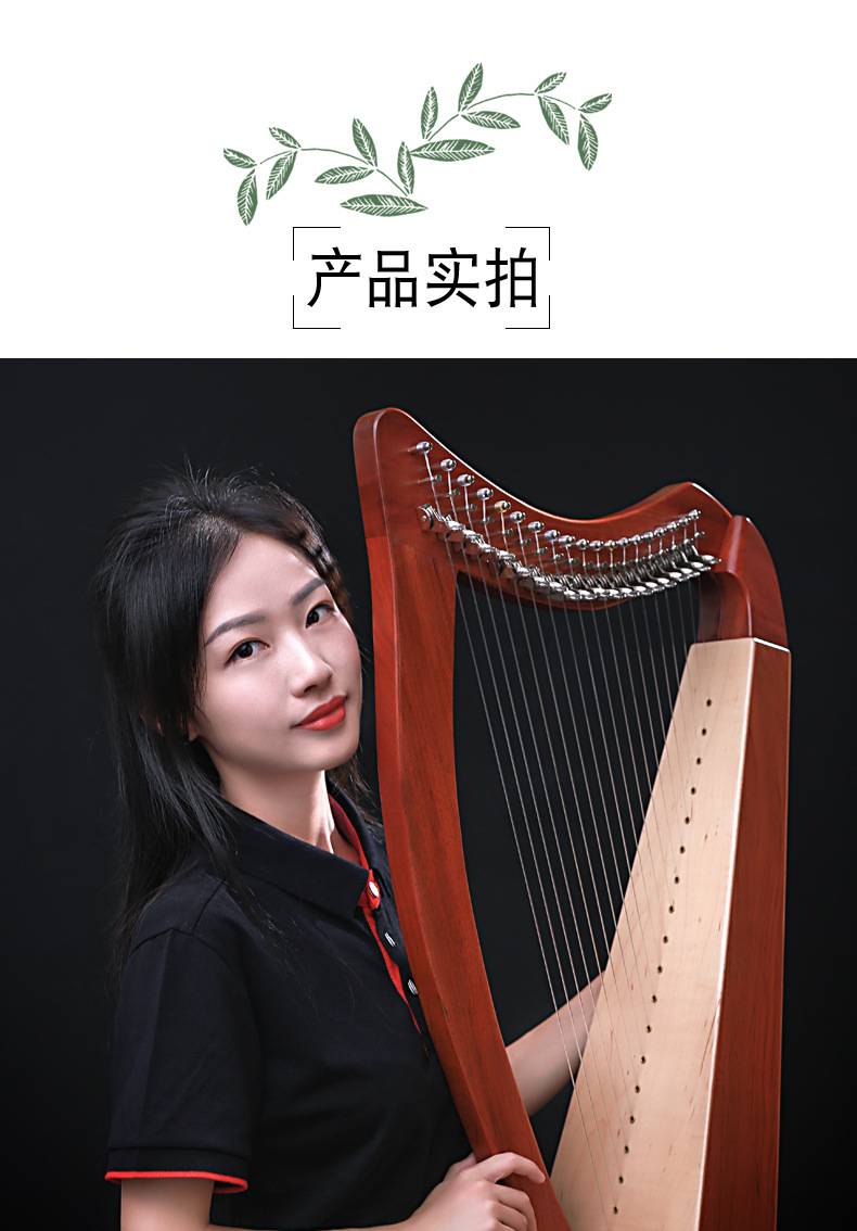 沃尔特厂家竖琴入门爱尔兰小竖琴19弦便携式小型初学乐器半音键-阿里巴巴