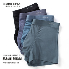 High-end 120 pairs Modal Men's Underwear Wholesale Mulberry Silk Antibacterial Men's Underwear Men's Modal Dropshipping