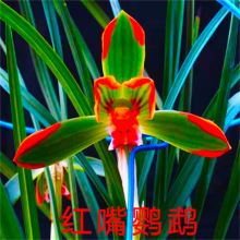 �t���W�^���� ������ ���N���㽨�m�ļ��m�m�����������҃ȾGֲ��