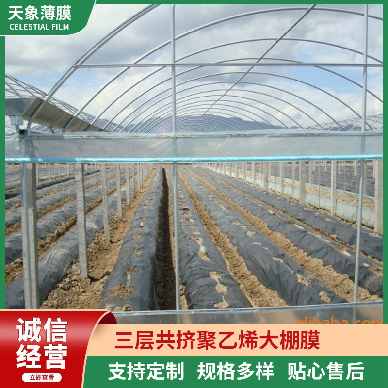 Трехслойная коэкструдированная полиэтиленовая двусторонняя пленка для теплиц, сельскохозяйственная белая пленка, водонепроницаемая пластиковая ткань, теплоизоляционная пленка