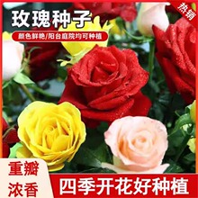 �tõ�廨�N�� �Gֲ���Ի����r���N�����Ե����ļ��N�� �¼��N��