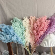���������Rѩ���滨�b�������diy���ρ��R�d���u��Ϲ��S