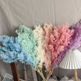永生花蓬莱雪松真花装饰永生花diy材料亚马逊热卖云南工厂