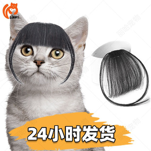 工厂新款跨境宠物发饰猫狗空气刘海呆萌可爱齐刘海均码通用-阿里巴巴
