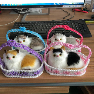 ����؈���е��@؈�����؈ë�q��߃�ͯ���նY�� ���؈�Ʒ�[��