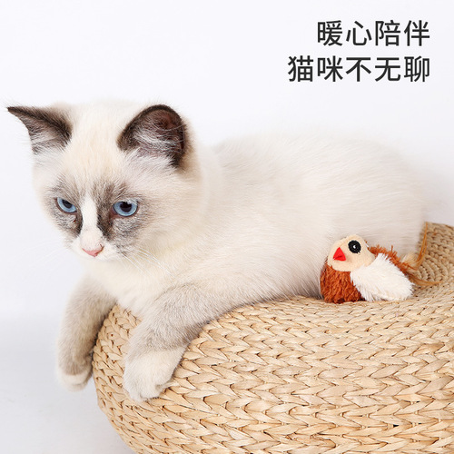 Plush Feather Tail Electronic Sound Bird Wholesale Simulation Meowing Cat Toy Pet Supplies Interactive