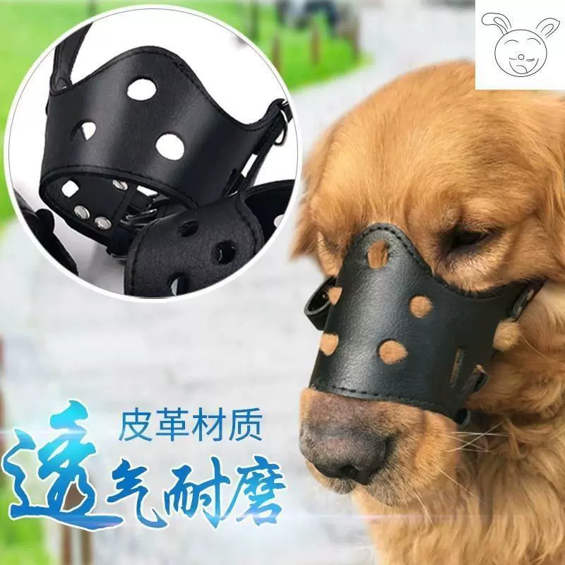 Предотвращение укуса собачьей собаки