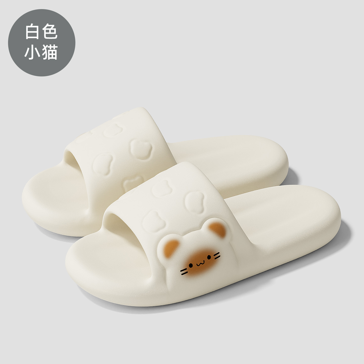 흰색 아기 고양이