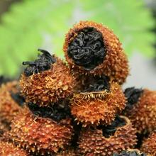 �²�2025����t�踻���SC�m��Ů����ˮ���� �B�����~�������u����