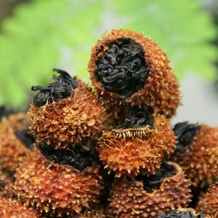 �²�2026����t�踻���SC�m��Ů����ˮ���� �B�����~�������u����