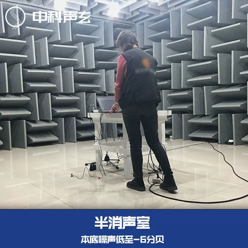Бесшумная камера Полуакустическая камера Плоскопанная камера Бесшумная камера Акустическая лаборатория