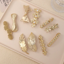 ��ɫ�OӋ�Џ��ɊA�l�AŮ2026�¿�߶�һ�֊A߅�A��߅���^�l���A��