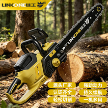 �������ʽ﮵�������ֳֵ綯﮵�ط�ľ����������и����