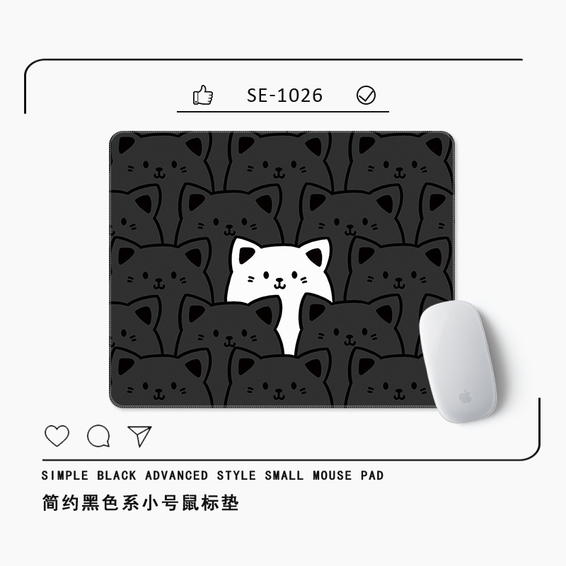 8130 검은 고양이 속의 흰 고양이