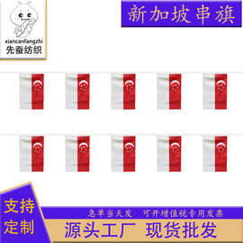 14*21cm新加坡串旗方形球迷旗帜20*28cm吊旗涤纶拉旗厂家现货批发