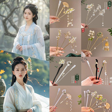 2026�¿����K�l�O���ۇ��L�R��ȹ������������ʽ�P�l�l��ľ���l�