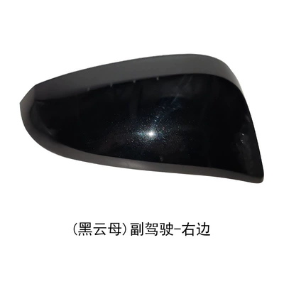 14 Models to 18 Years — Rear mirror/rearview mirror assembly - biotite-on-the-right-of-the-copilot