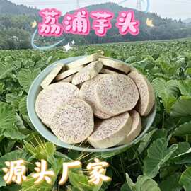 荔浦芋头速冻芋头圆饼粉糯香甜芋泥芋圆原料首选源头工厂厂家批发