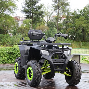 ȫ����܇CVTɳ��܇��݆ԽҰĦ��܇250CC�Ԅӓ���������atv�����