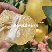 ̨���������ֹ������S��������޽��uβ���������S�������ֹ�����