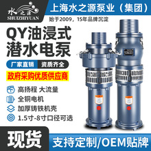 水之源油浸泵380V三相上海农田灌溉高扬程抽水泵潜水泵高功率水泵