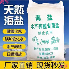 ���}ˮ�a�Bֳ���ô��}���w�����r�\���~���~���B�~���I�}