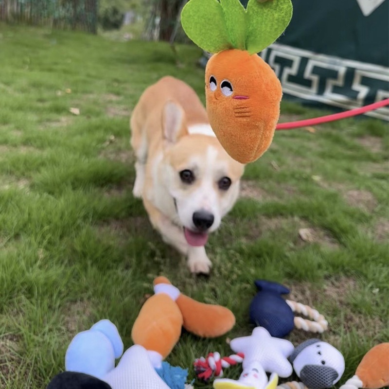 犬のおもちゃのスイカは音を出すことができます。ぬいぐるみが可愛いです。|undefined