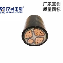 �|ݸ���d늾���|ZC-YJV3*70+1*35ƽ��������ȼ�~о�����|ZC-VV