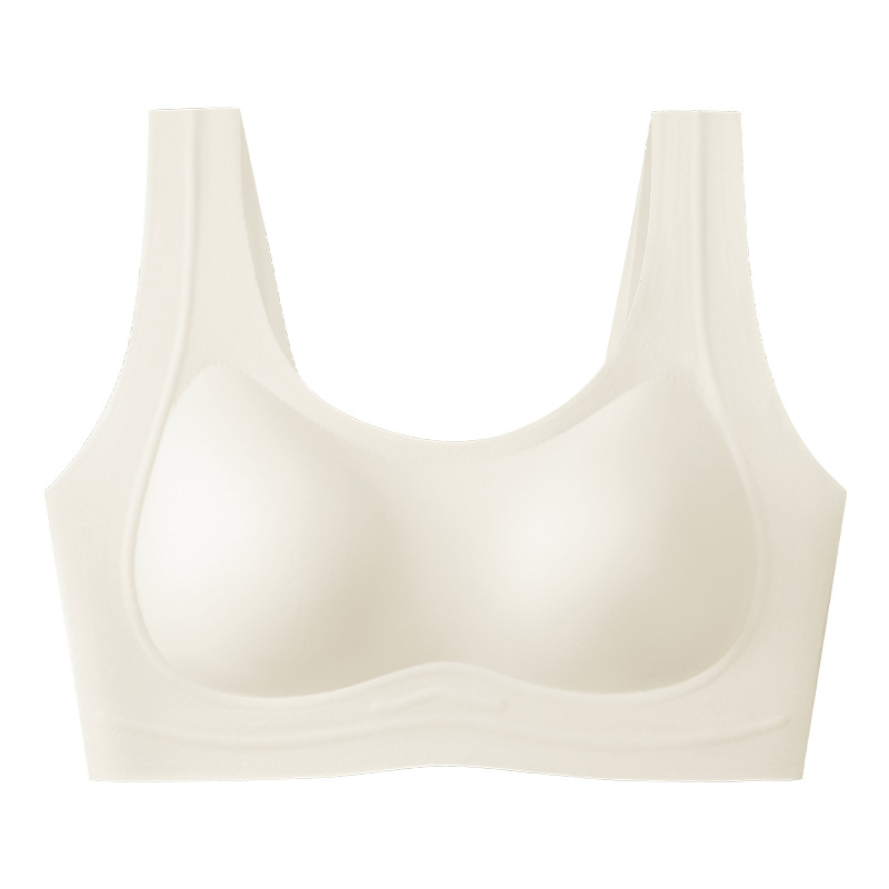 치자나무 화이트