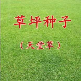 �������òݷN�Ӱ�����Ľ������ļ������`̤�����޼�С�^���@�G��