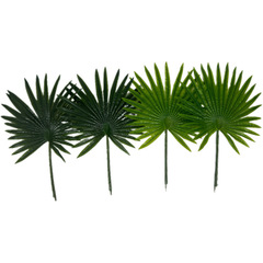 植物の扇子と葵の葉をシミュレーションします。