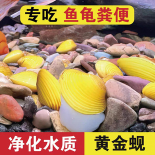 ͘��͘Ϫ͘С�Ӱ��ݳ��� �坍��ˮ�^�p �~�׳��~�S������