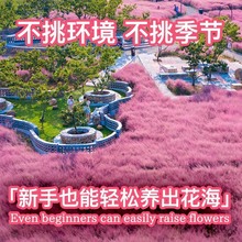 羳؛yӲѻNëâyӲݷNļWtͥԺ