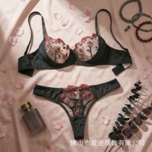 Y2026�羳���Q�¿��ļ�Ůʽ���ܴ̽�͸ҕ�ԸЃ�����Ȥ���b26016