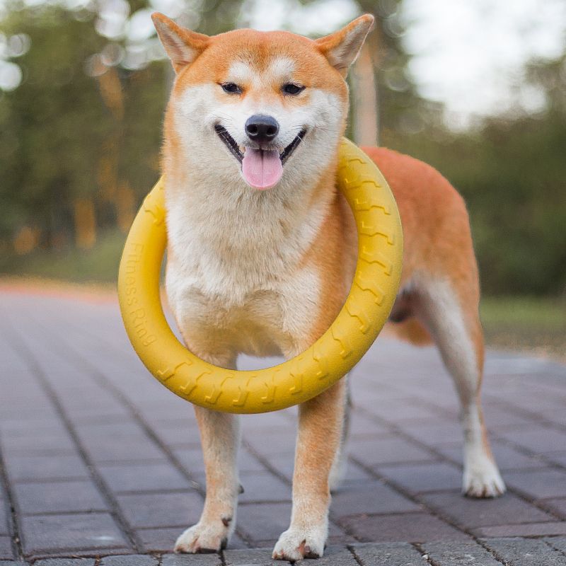 Juguete para perros EVA, autoentretenimiento, alivia el aburrimiento, duradero, resistente a las mordidas, indestructible, pelota para perros grandes con anillo de tracción.