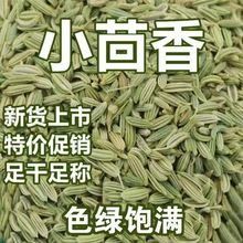 优品新货甘肃小茴香籽小茴籽包邮香料卤料免费磨粉农家香辛料调料