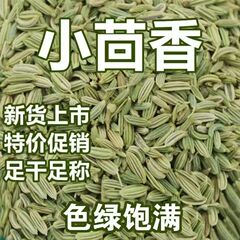 高品質甘粛省フェンネルシード、フェンネルシードスパイス、マリネ、無料粉砕、農家産スパイス調味料、グリーンフード