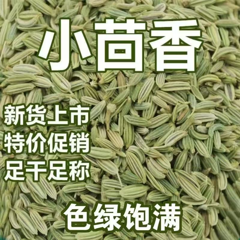 优品新货甘肃小茴香籽小茴籽包邮香料卤料免费磨粉农家香辛料调料