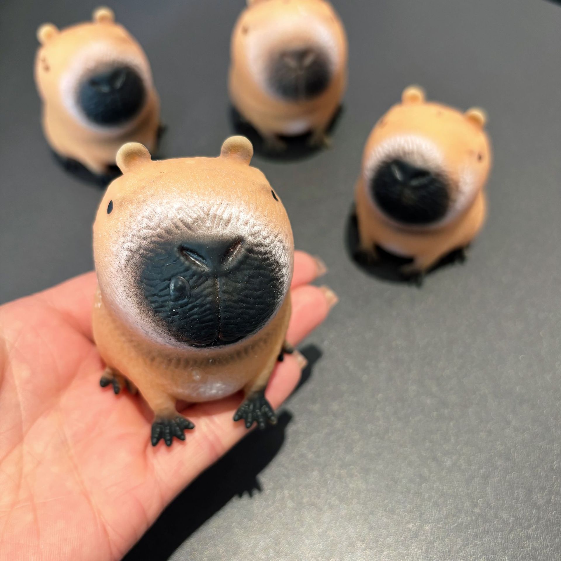 카피바라【60g】