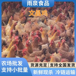 �F�����r�Ĳ��u��ֻ���r�l؛�Ĳ��u�r��ɢ�B���|���r�ۻ�ʳƷ���l