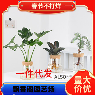 һ�����lС���������҃�ˮ�B����С��ʹ�G�}���F���k���ґ���ˮ��